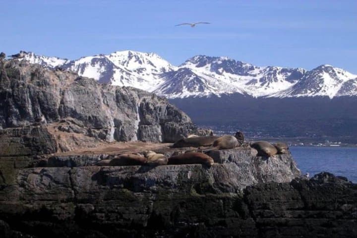 Beagle Channel Yacht Sailing Tour from Ushuaia