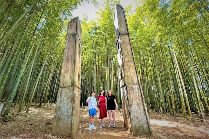 Busan Highlights Premium Small Group Tour(Max 6 Guests)