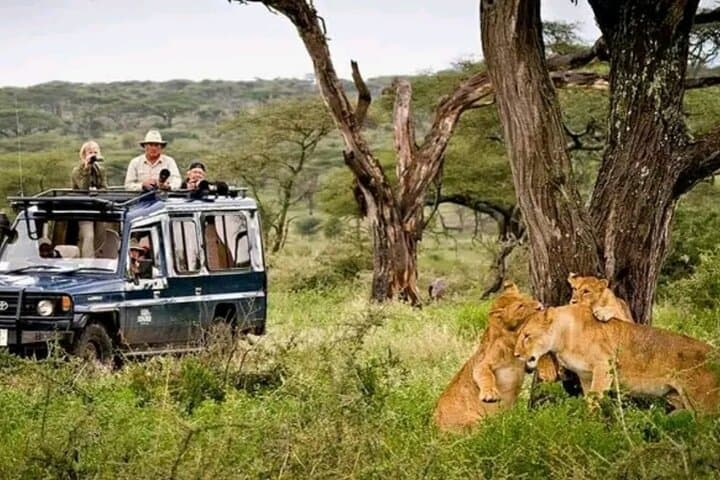 Jeep Safari Zanzibar Island 3 Day Private Tour