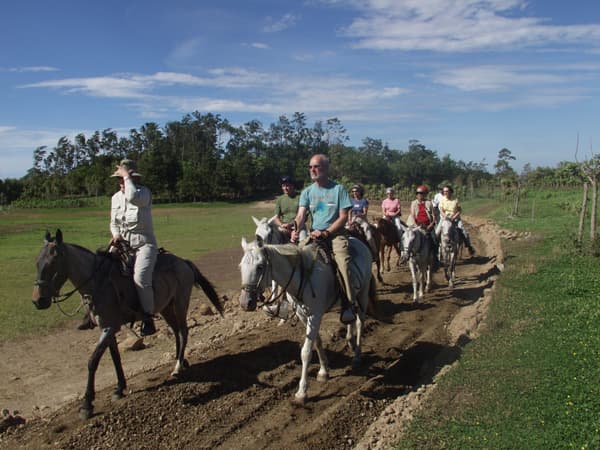 Buena Vista Combo: Day Pass Including Lunch