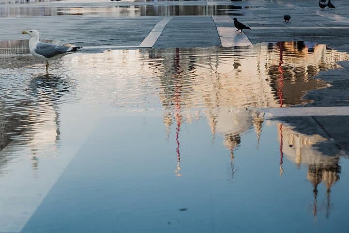 Venice Highlights : City tour and Grand Canal boat Experience