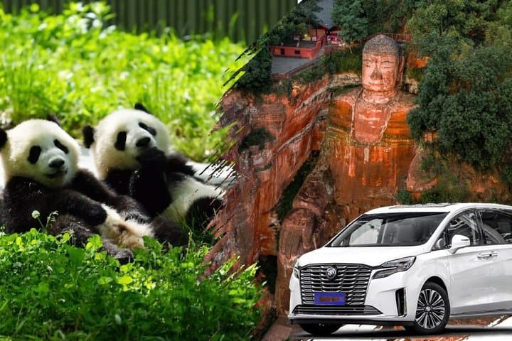1 day chartered bus: Chengdu Panda Base and Leshan Giant Buddha