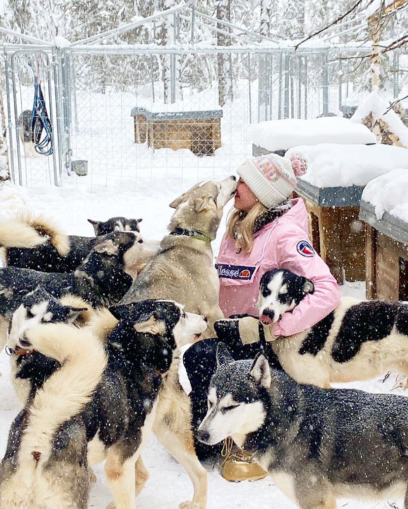 Authentic Cuddling with Siberian Huskies