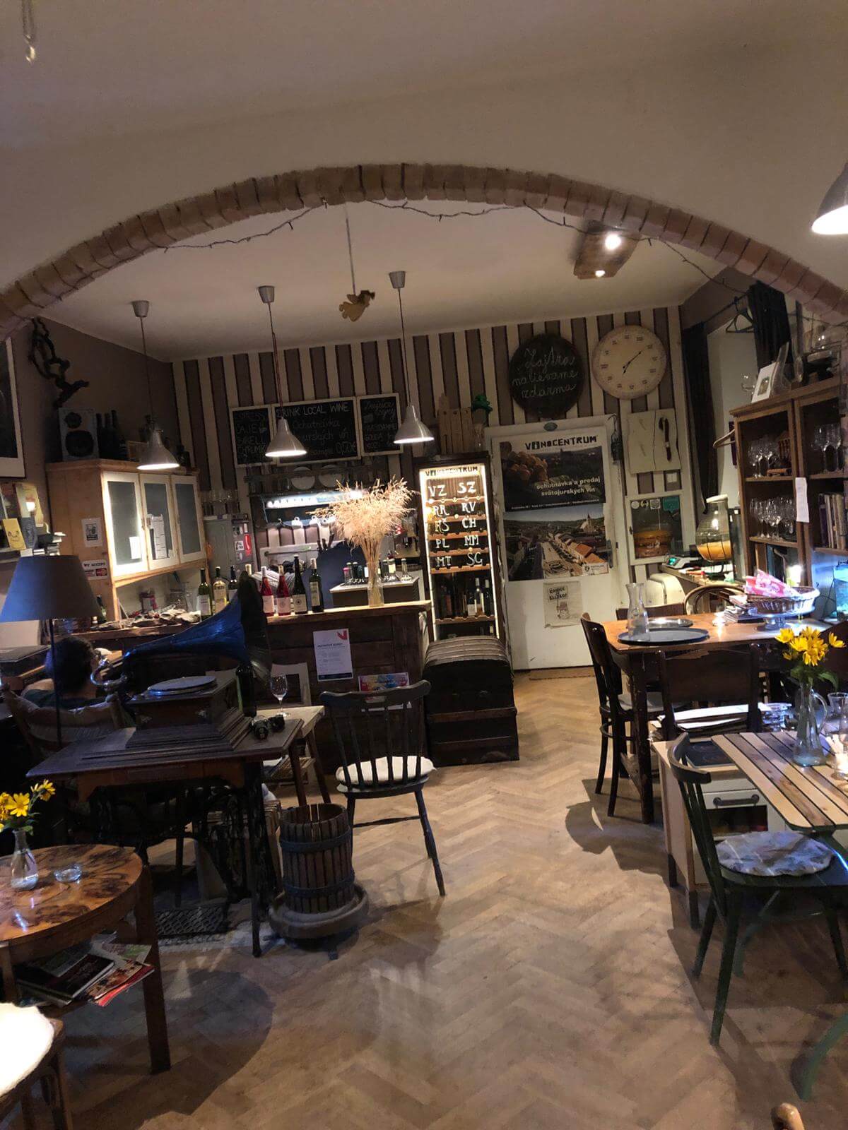 From Bratislava: Organic Wine Tasting in Svaty Jur 