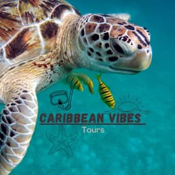 Caribbean Vibes Tours