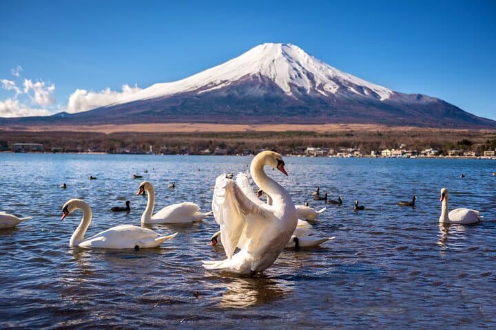 Classical Mt Fuji Day Tour