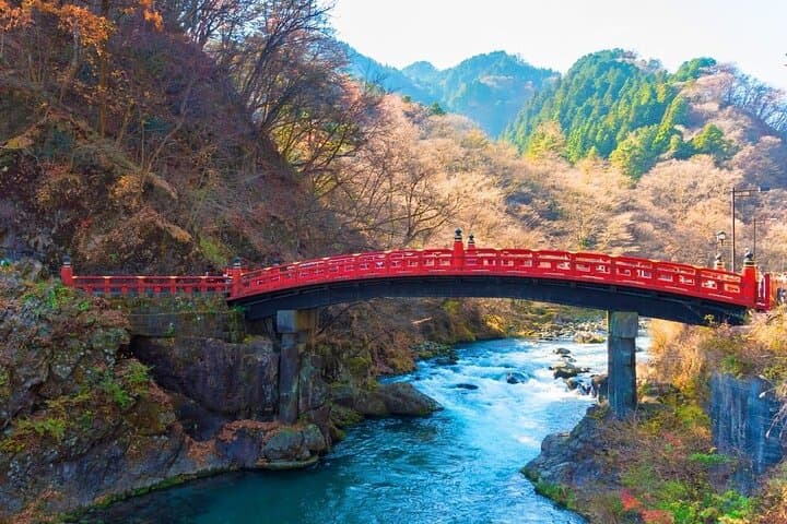 Nikko Private Day Tour from Tokyo with English-Speaking Driver