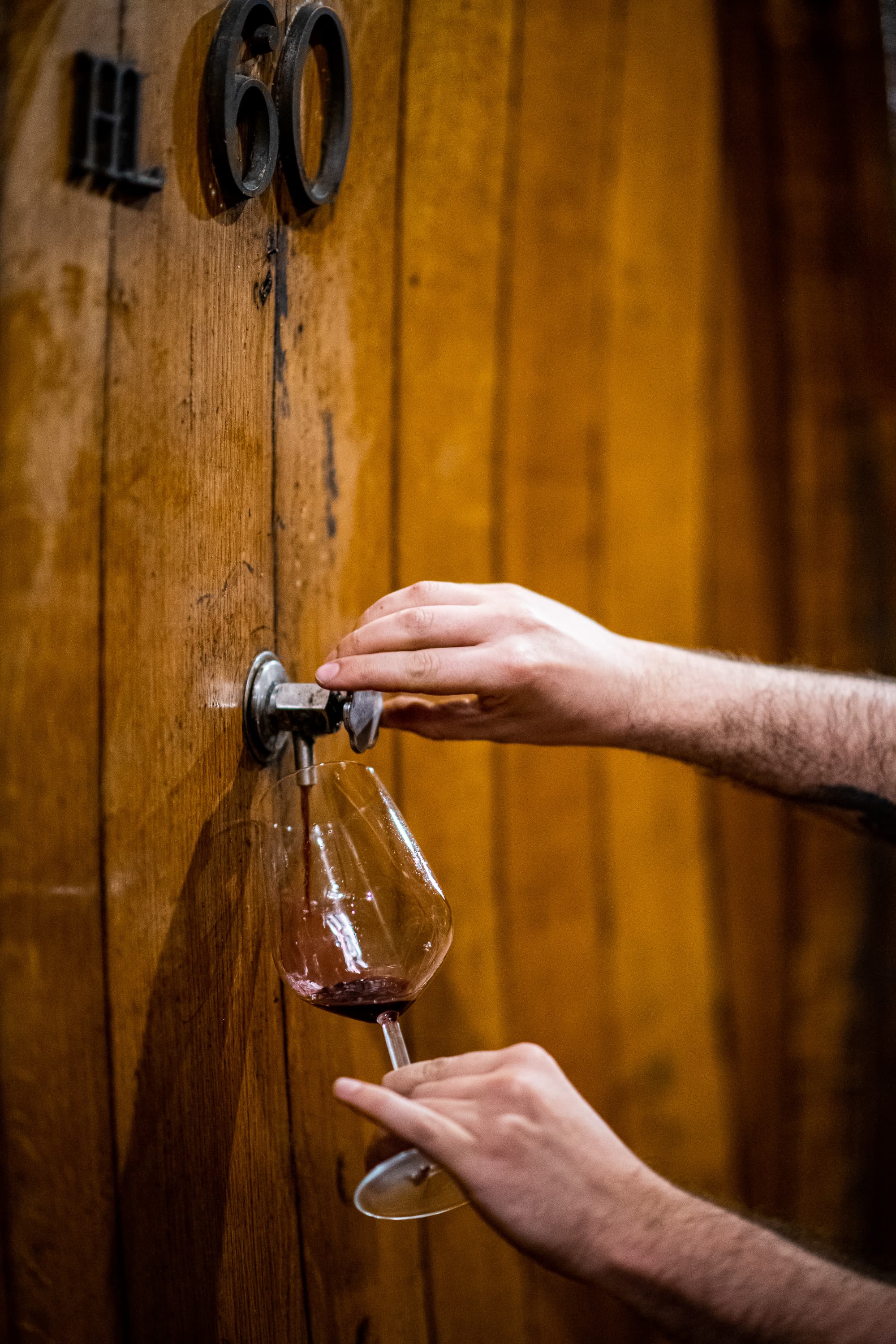 Wine tour of the small producers of Nobile di Montepulciano