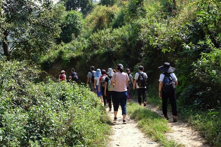 Luxury Changu Nagarkot Hike with Overnight Stay & Bhaktapur Tour