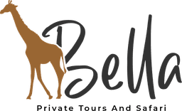 Bella private tours and safari