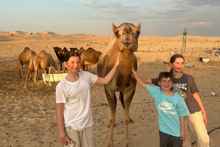 All in One Dubai Abu Dhabi Tour & Evening Desert Safari 