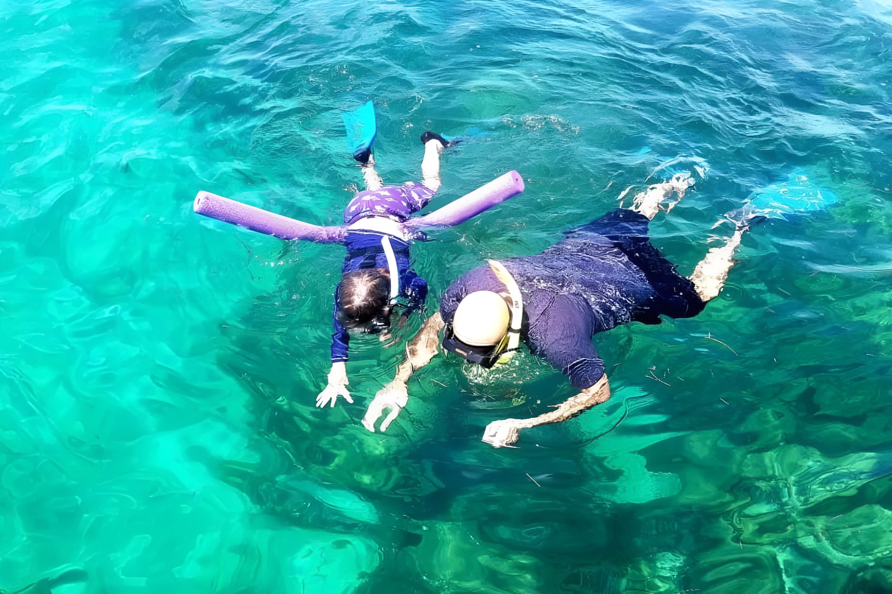 Miami Snorkeling for Beginners from Bayside Market Place
