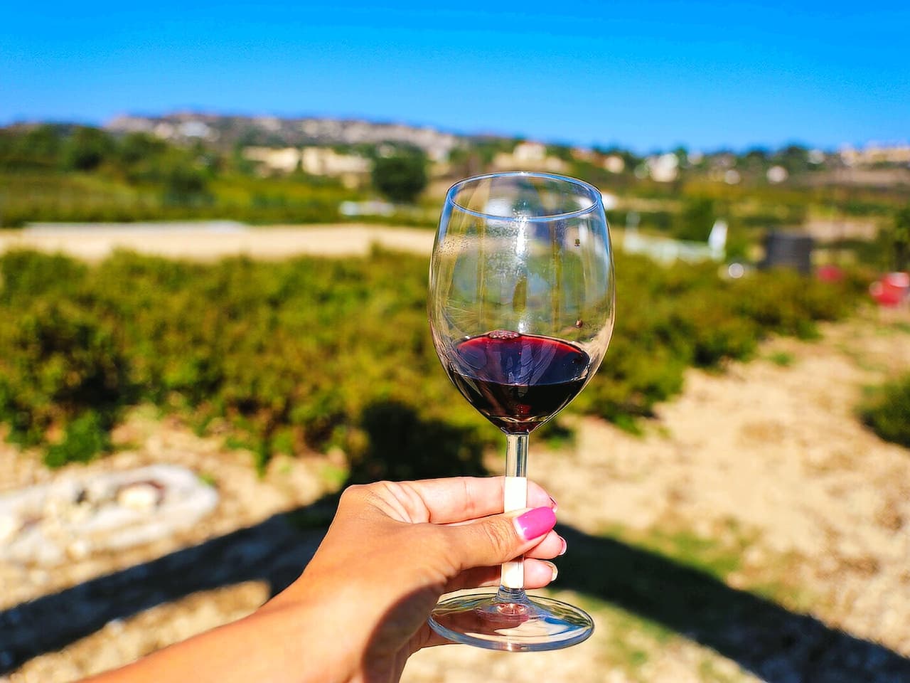 Paphos: Wine Tour – Vineyards, Tastings & Scenic Views