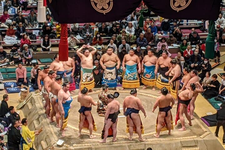 Osaka Sumo Tournament Entry Ticket and Guided Tour