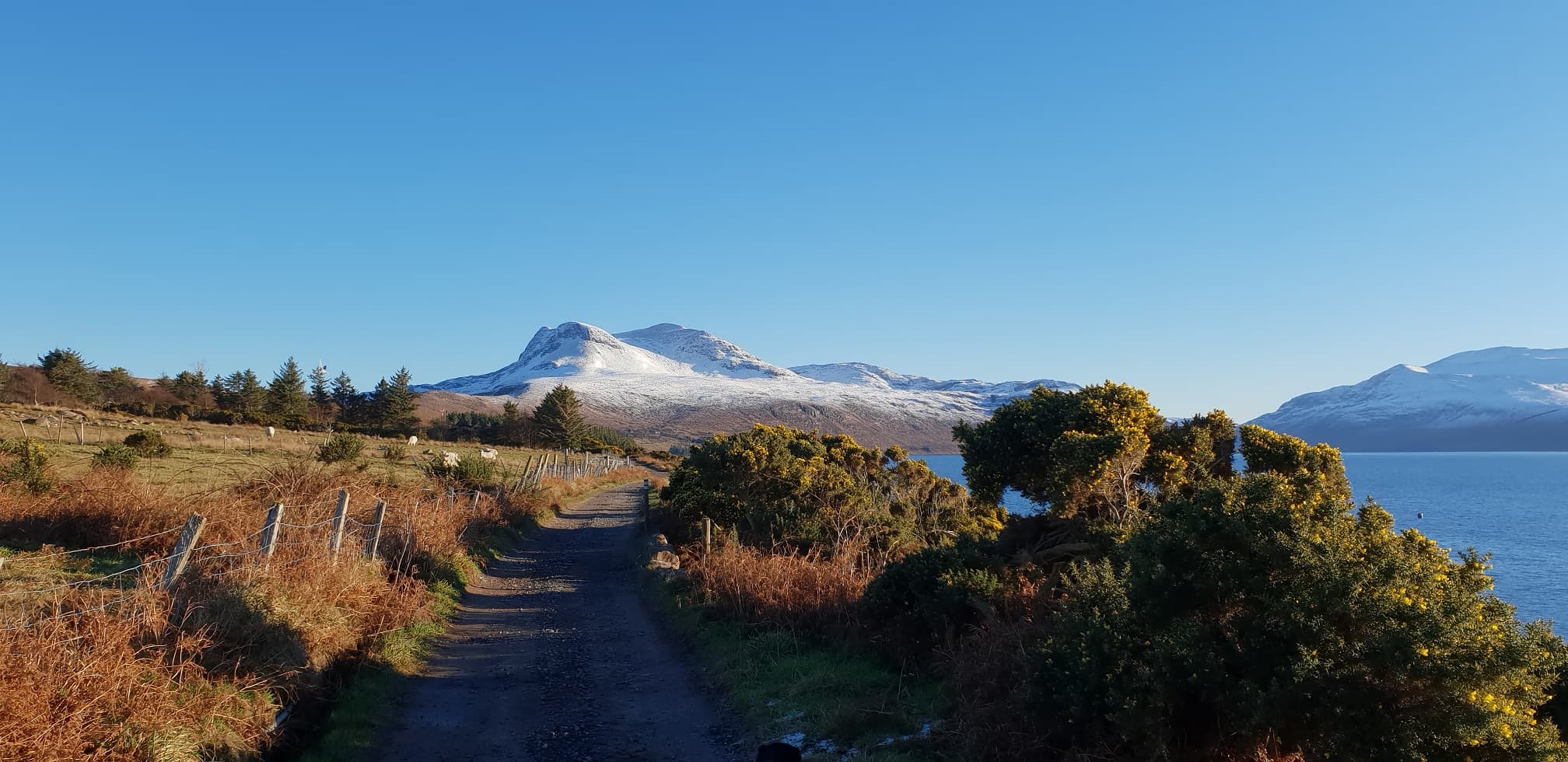 Walk the Scoraig Peninsula to Scoraig including boat journey