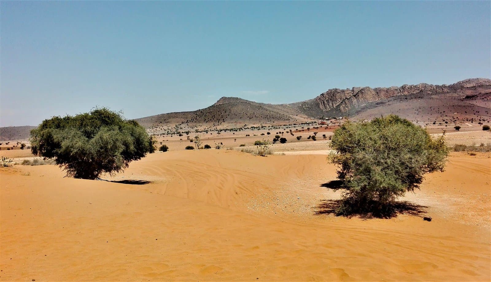 Agadir mini Sahara & National Park - guided day trip from Taghazoute