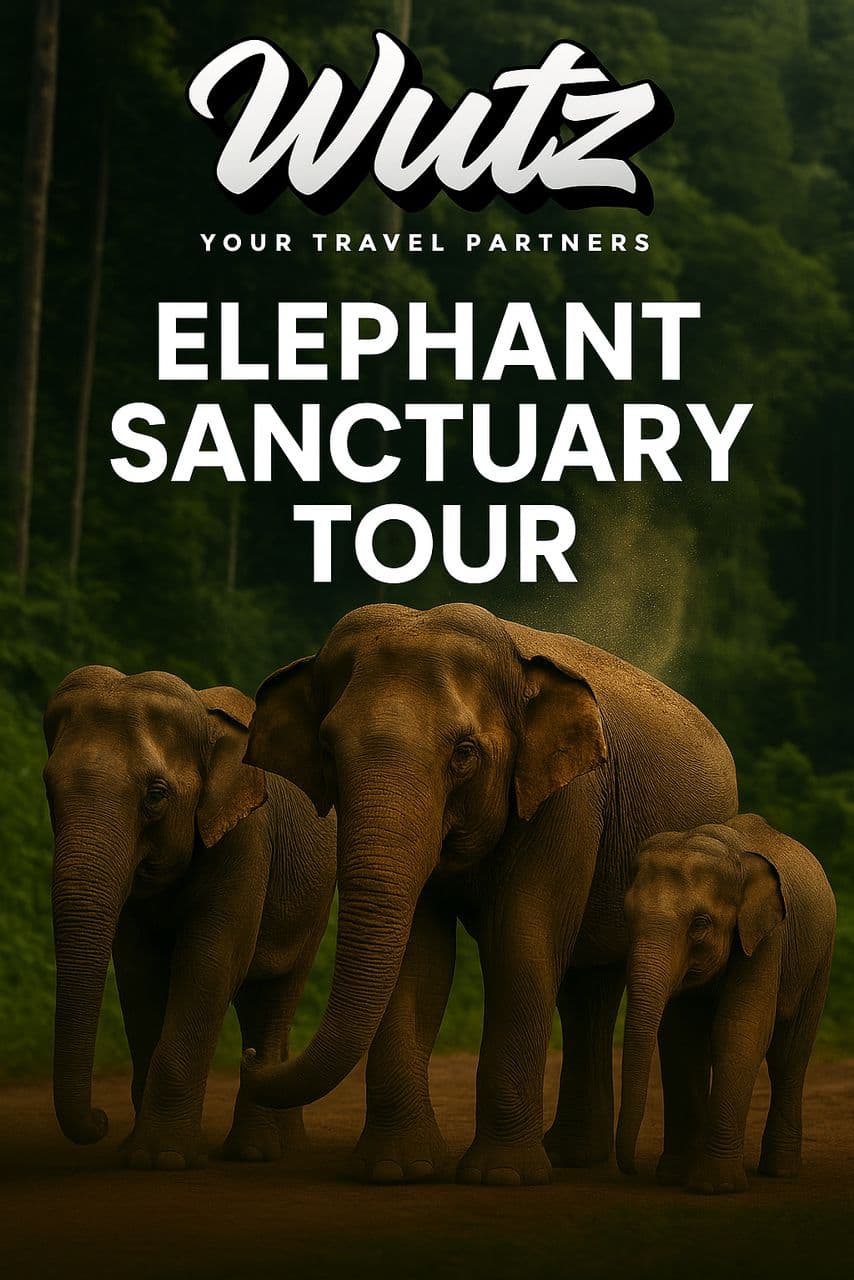 Elephant Sanctuary Educational Tour