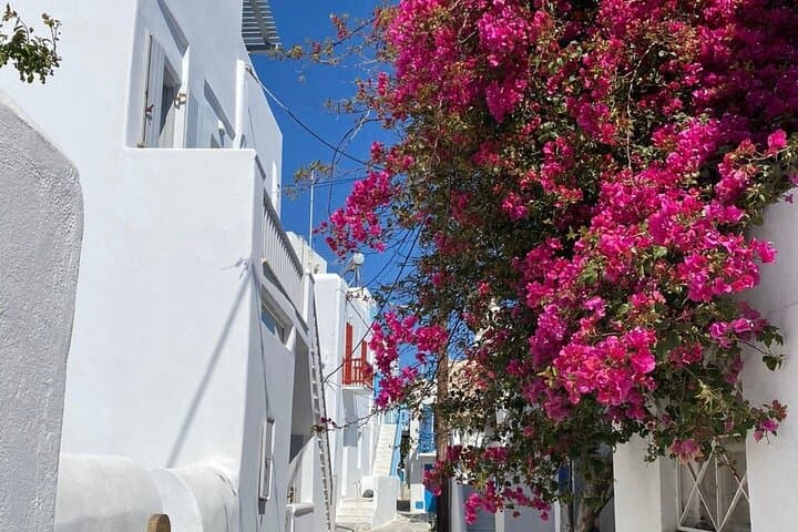 Private Mykonos Secret Spots And Island Stories