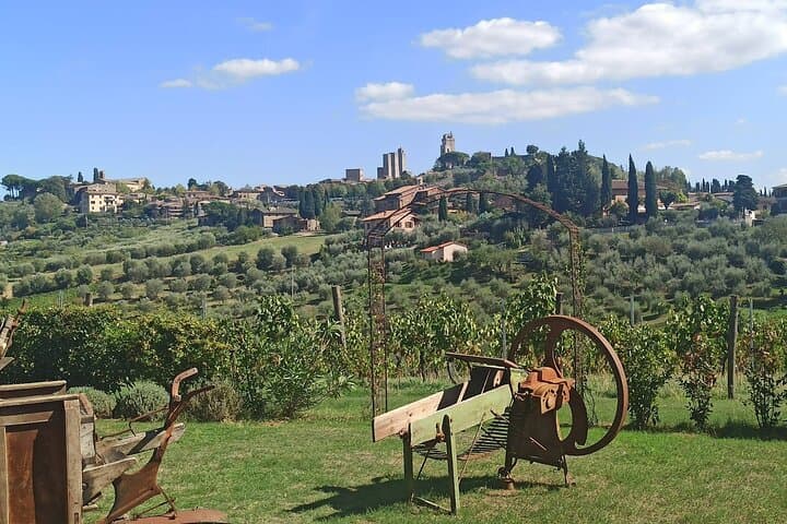 Pisa to Siena Transfer with Wine Tasting in San Gimignano & Lunch