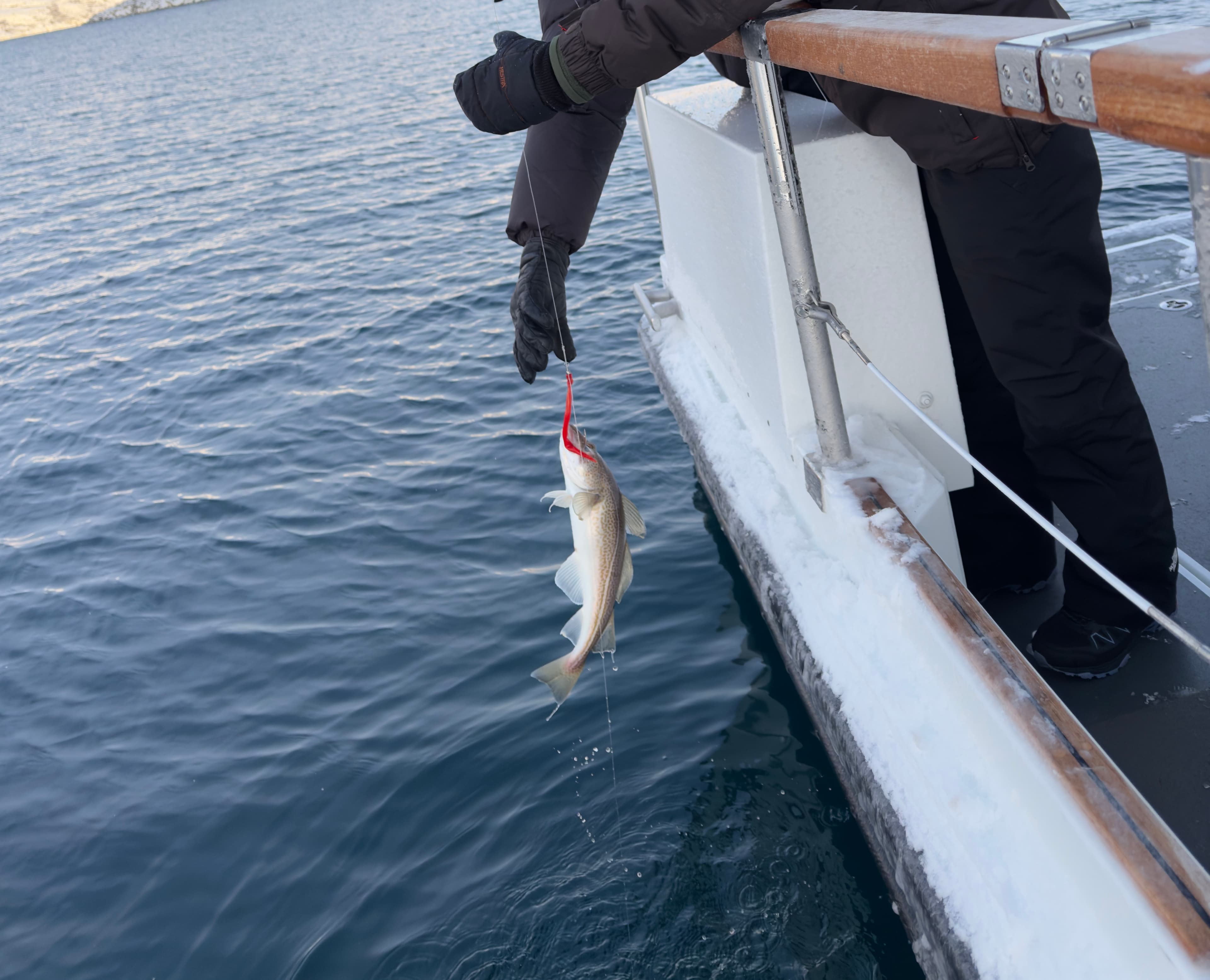 Fishing trip with traditionel kaffemik and local storytelling