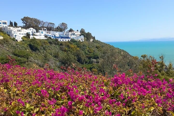 Exclusive 7-Day Tunisia Highlights Guided Tour from Tunis 