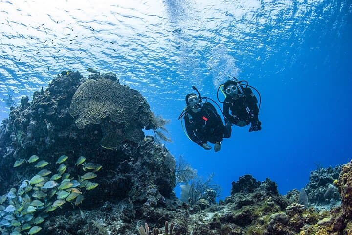 Fujairah: PADI Open Water Diver Course 