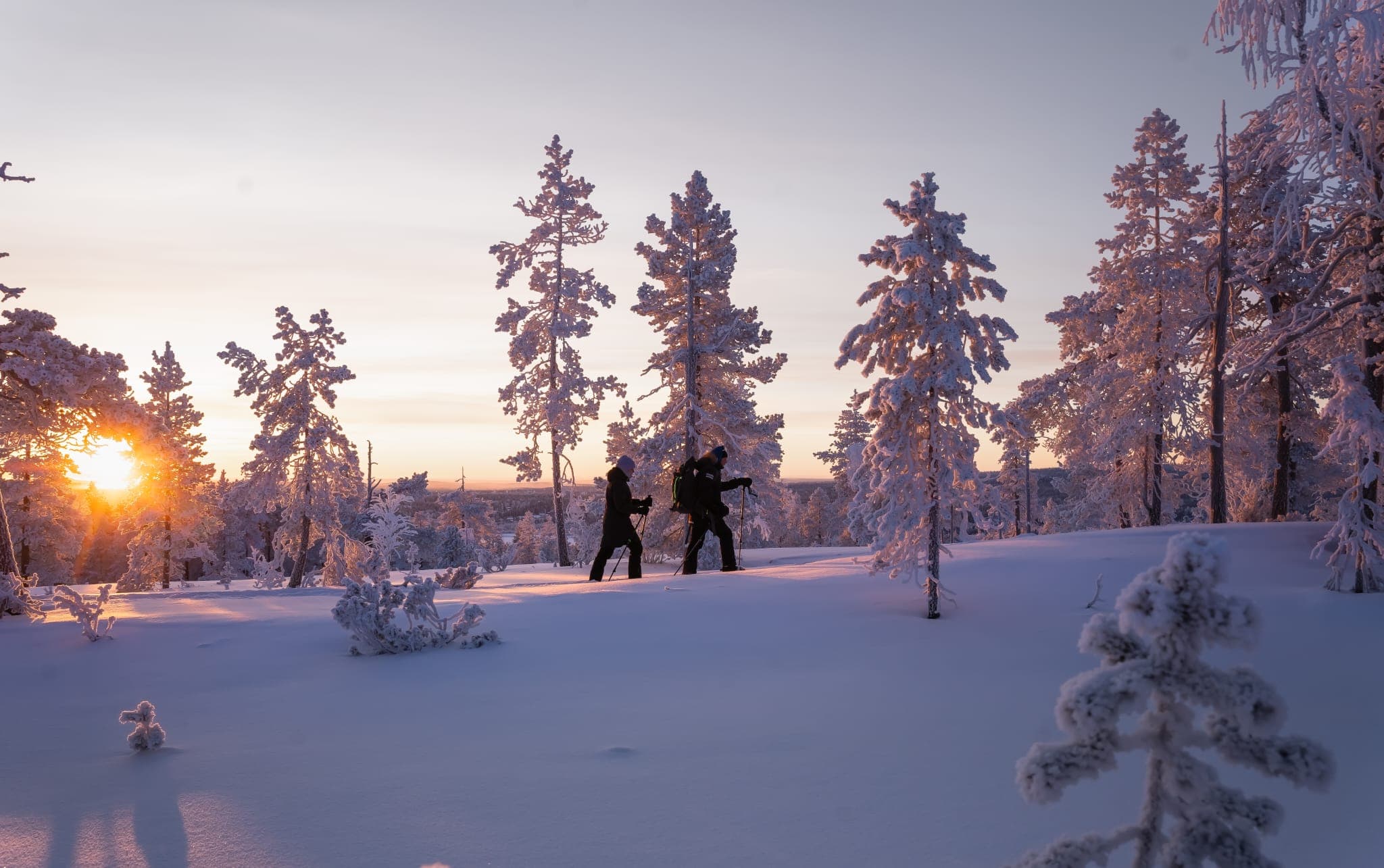 Snowshoeing Experience – Explore the Silent Arctic Forest, Rovaniemi, Lapland, Finland