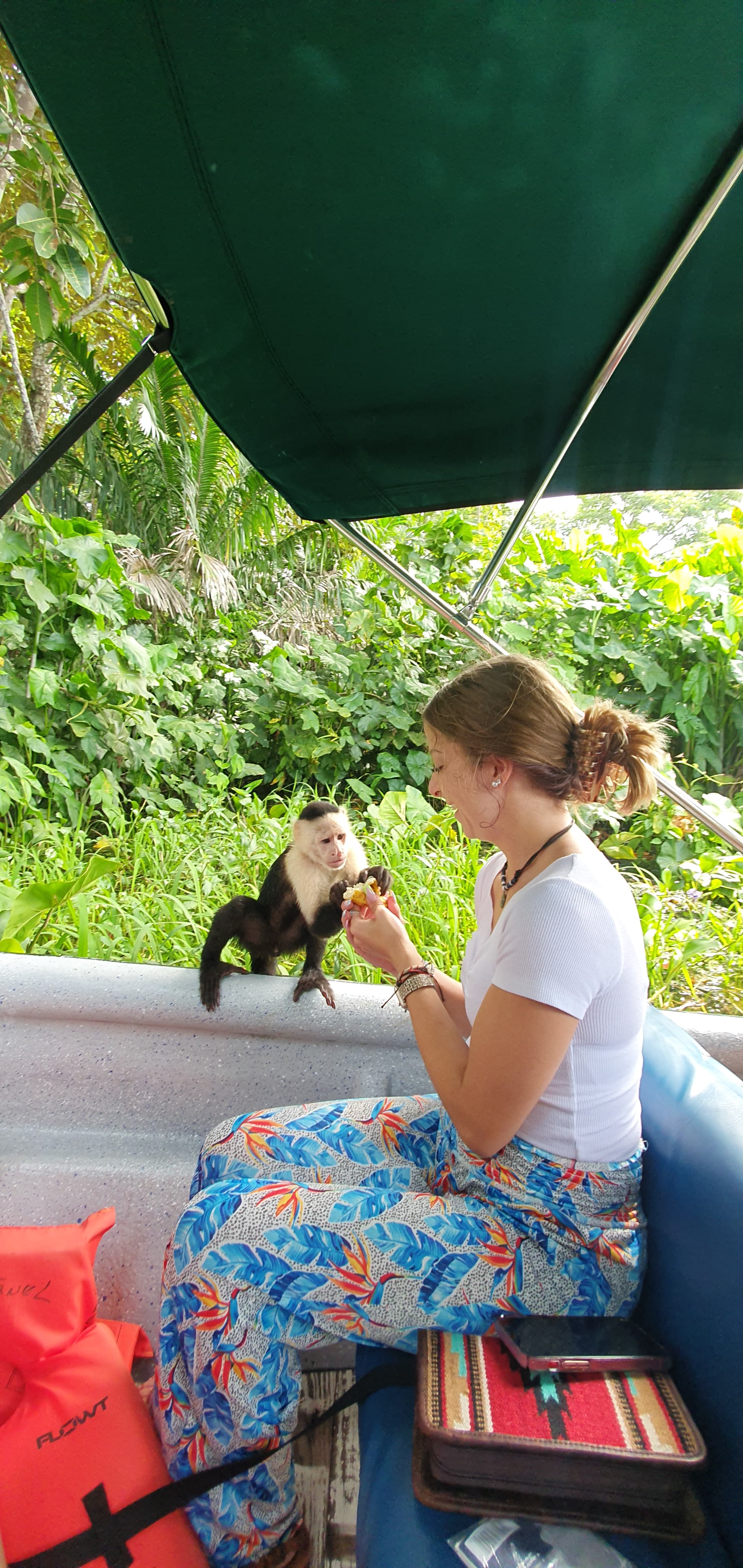 THE MONKEY EXPERIENCE