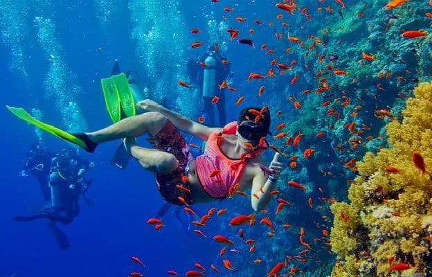Mnemba Island Snorkeling