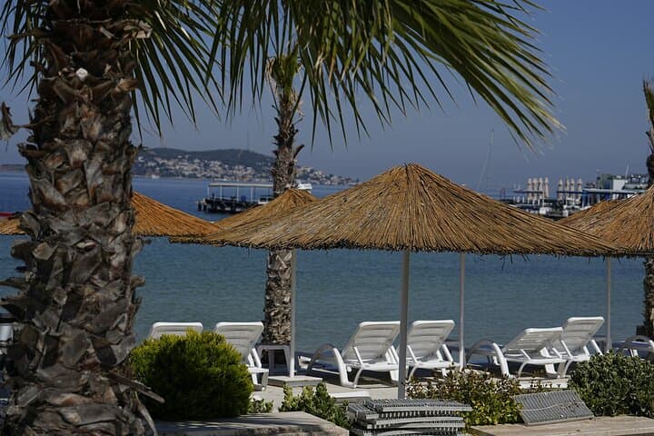 Hidden Beach Escape Princes Islands Swim Tour