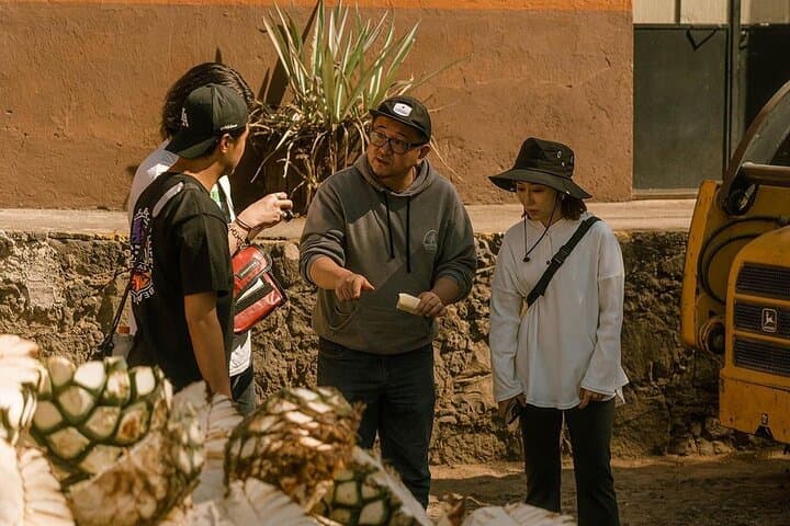 Private Tour one day of Adventure in Tequila and Tequilera Cascahuin