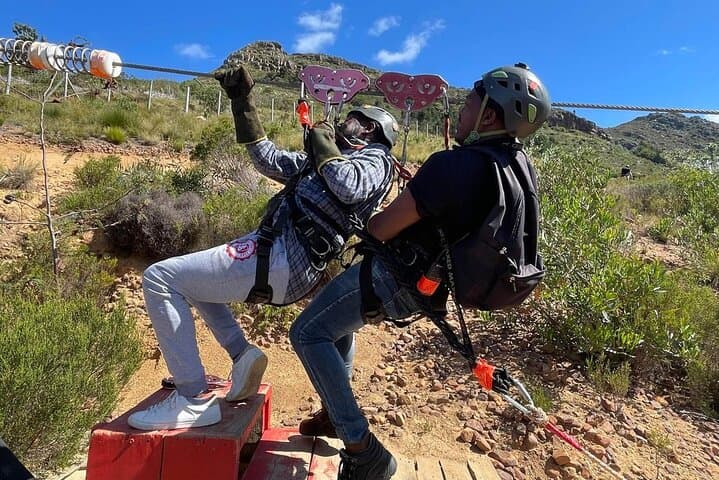 Table Mountain Full Day Trip, Zipline Adventure and Wine Tasting