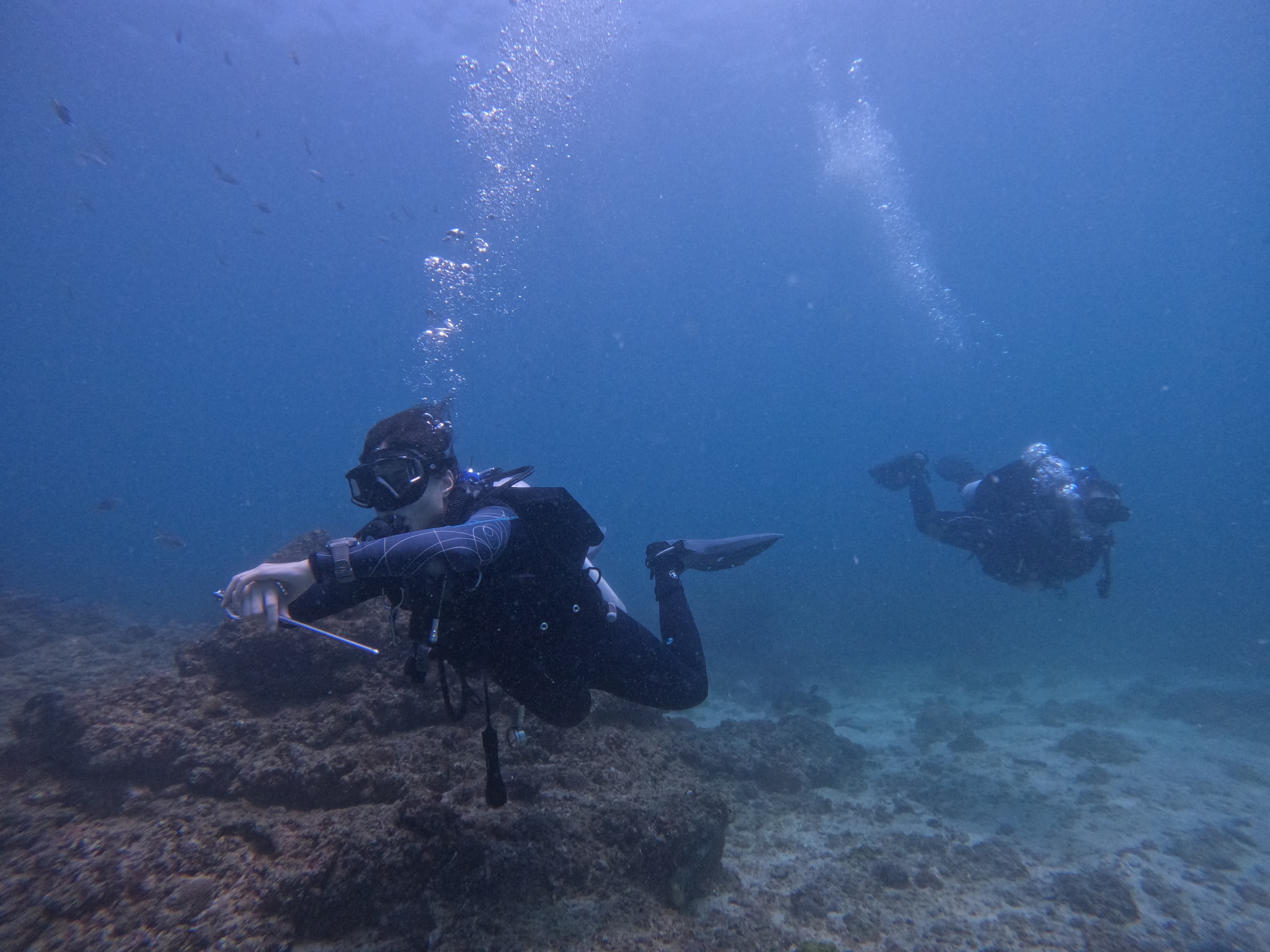 Fujairah: PADI Advanced Open Water Course