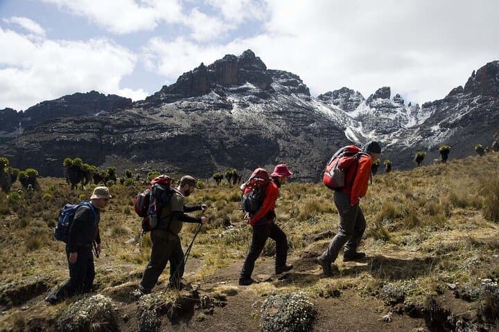 5-Day Mt Kenya Trekking Safari Expedition