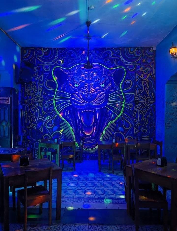 Tour Cantinero por Mérida, Una Ruta de Diversión, Sabor y Cultura