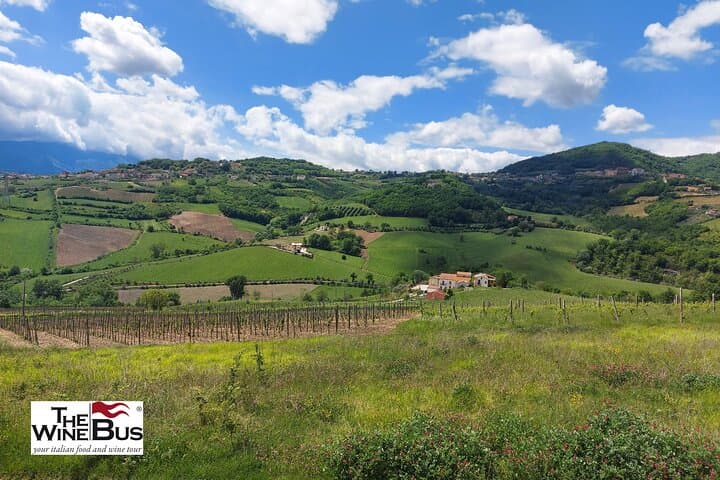 Private Irpinia Wine Tour from POSITANO, AMALFI or RAVELLO