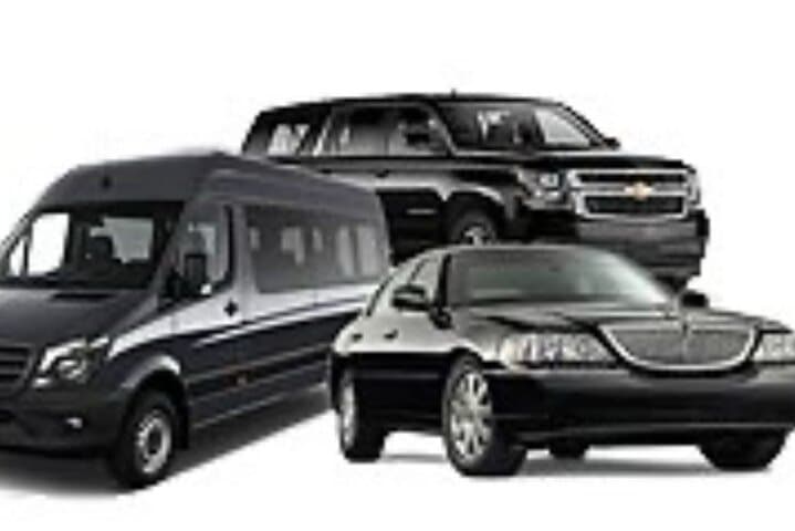 Puntacana AirPort PRIVATE TRANSFERS Bayahibe/romana TERMIN CRUISE