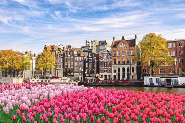 Private direct transfer from Rotterdam to Amsterdam