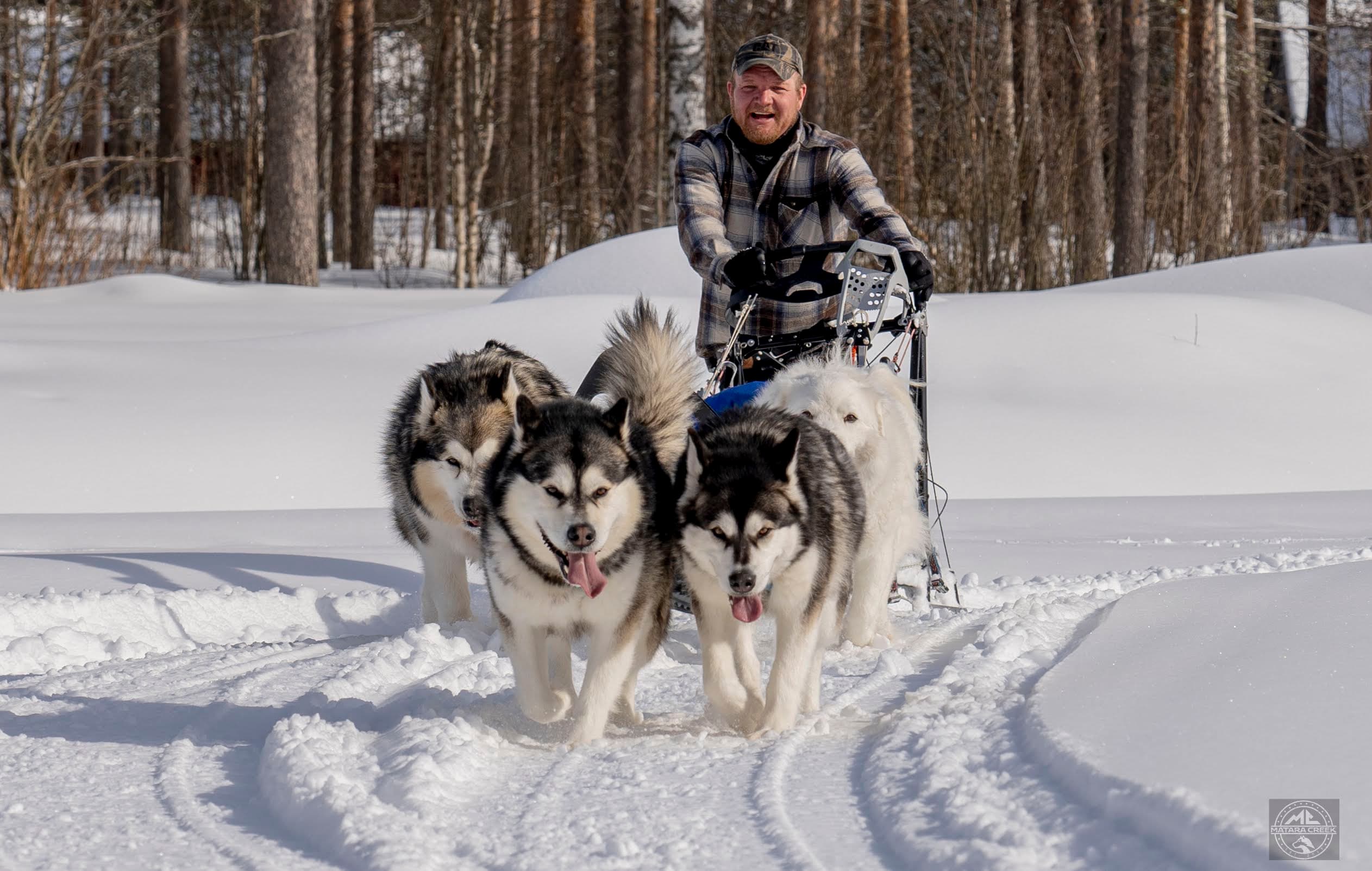 Half day 15KM Self Driven Husky Sled Adventure in Rovaniemi