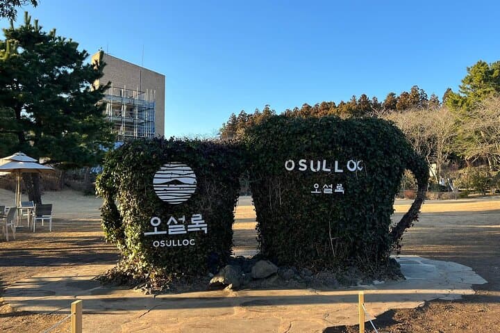 Round-trip transportation service to O`sulloc Tea Museum