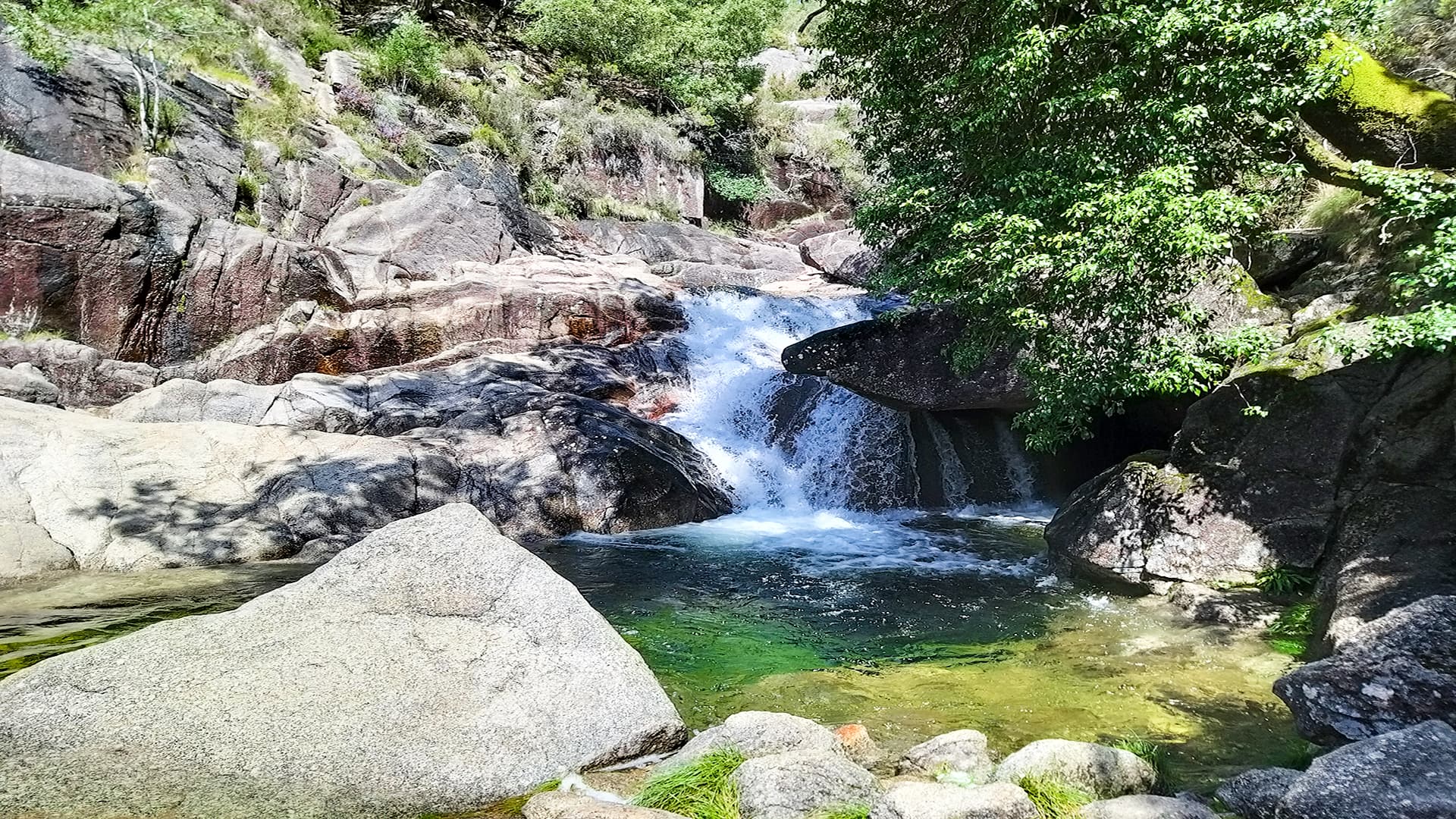 Private Tour to Peneda-Gerês National Park, for nature fans
