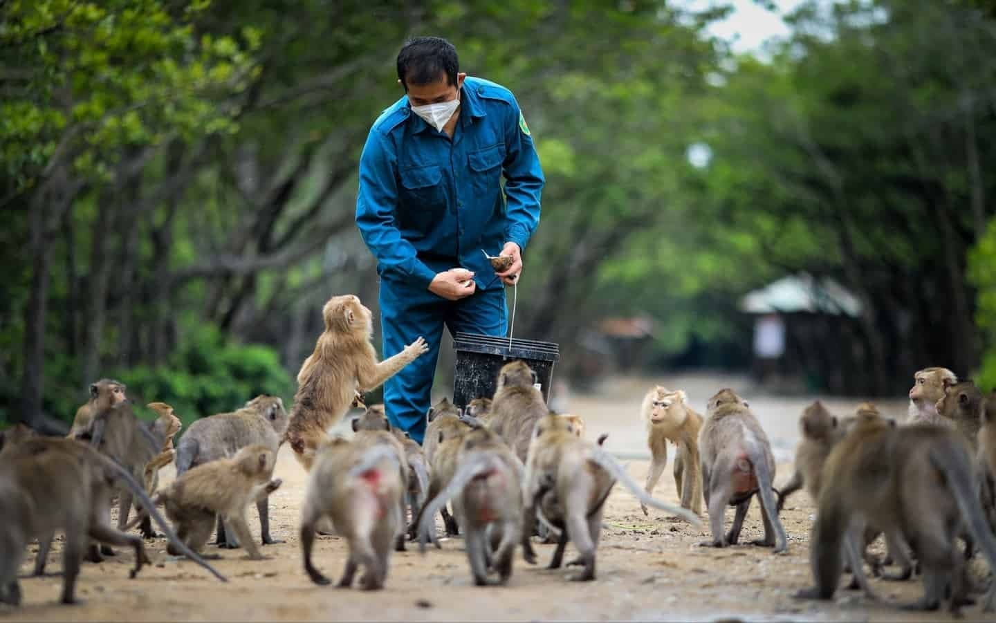 Private Eco-Adventure to Can Gio Mangrove Forest and Local Life Full Day from Saigon