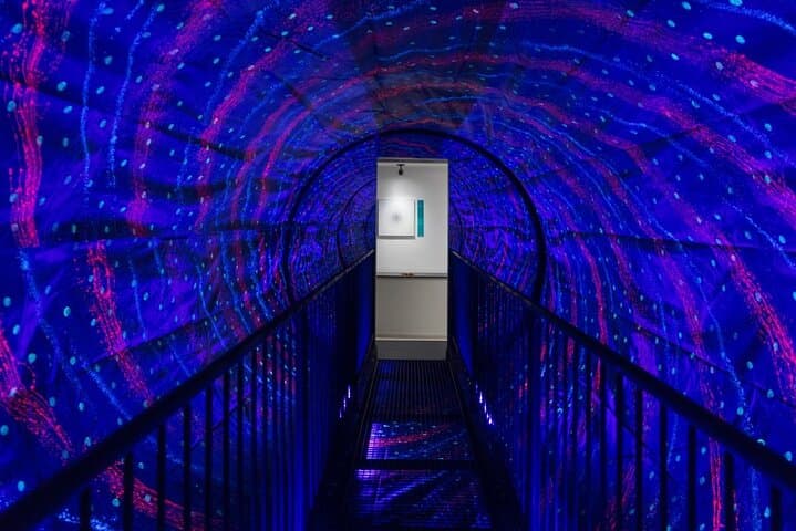 Dubai Museum of Illusions with Private Transfers