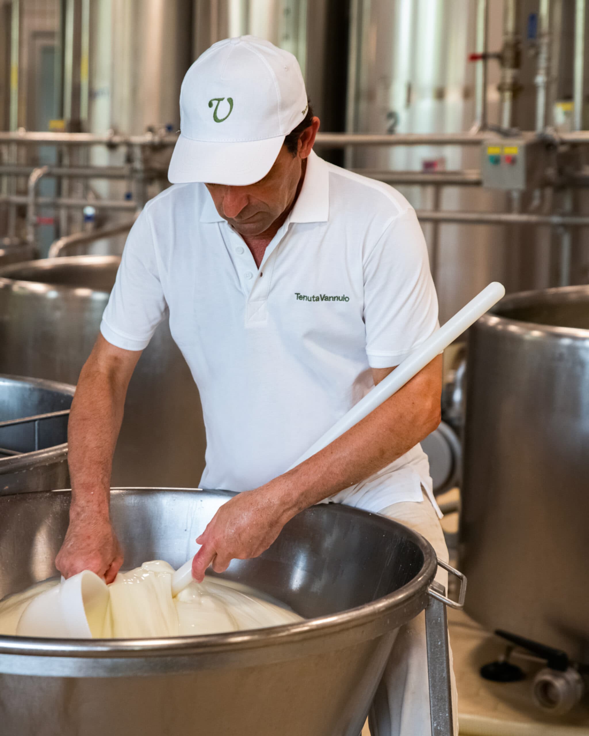 Vannulo Buffalo Farm & Paestum Archaeological Park Private Tour 