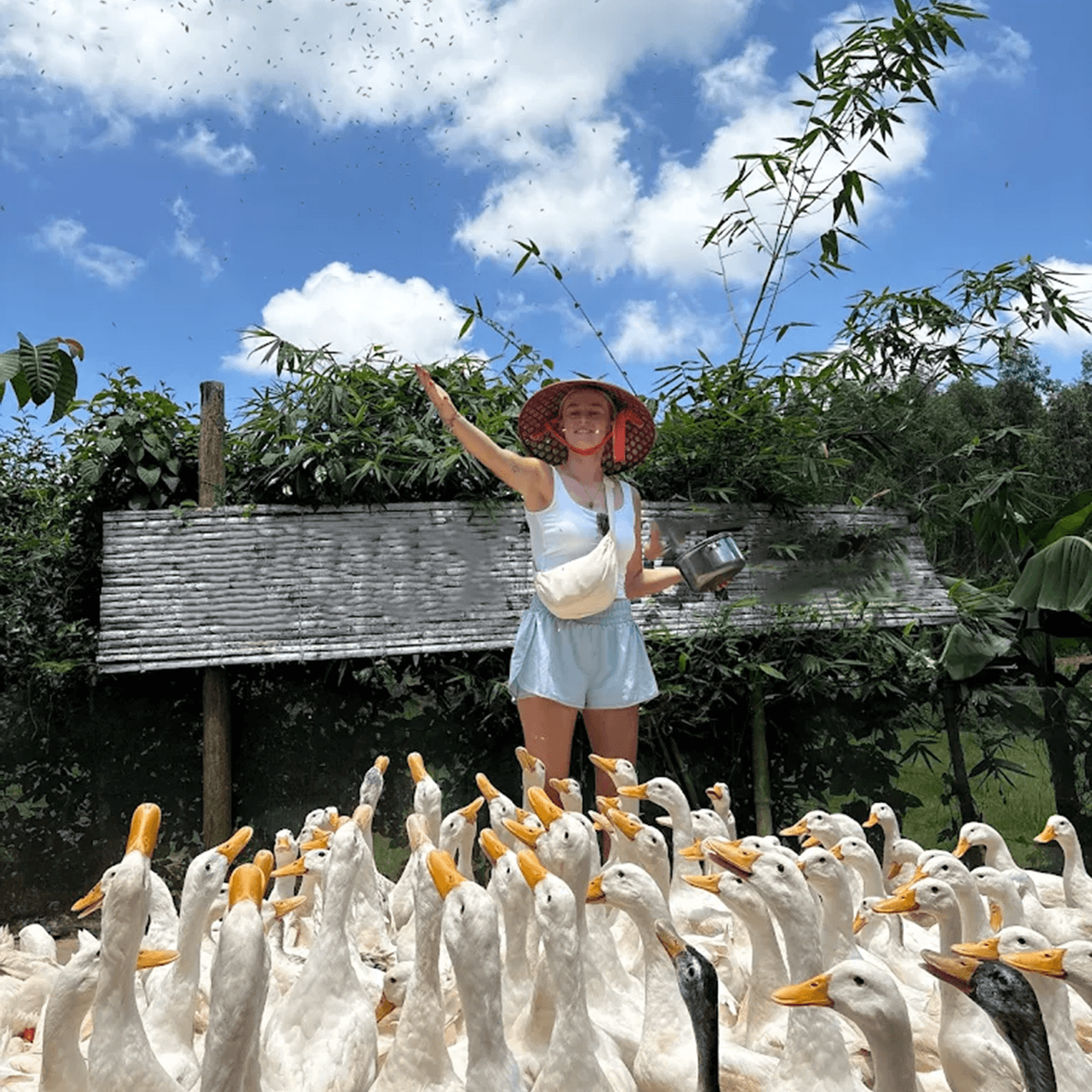 Paradise Cave and Village Charm A Phong Nha Day Trip