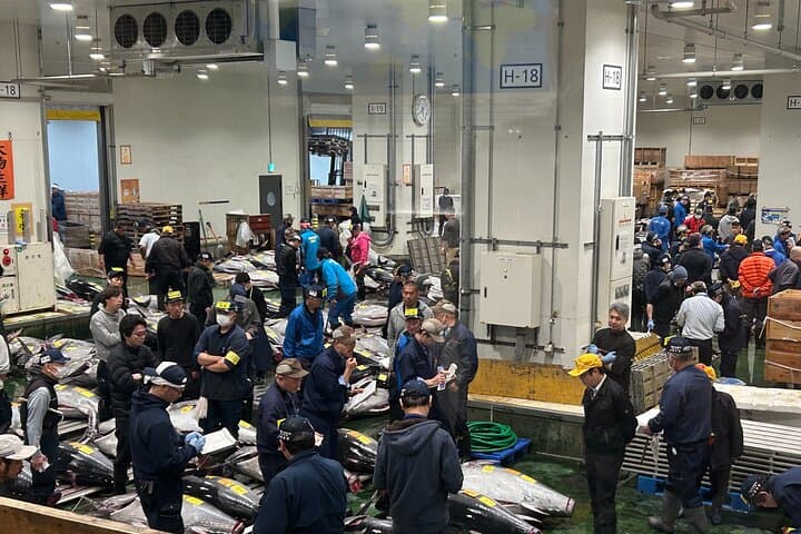 Private: Morning Market Adventure, Toyosu & Tsukiji with Tuna Auction