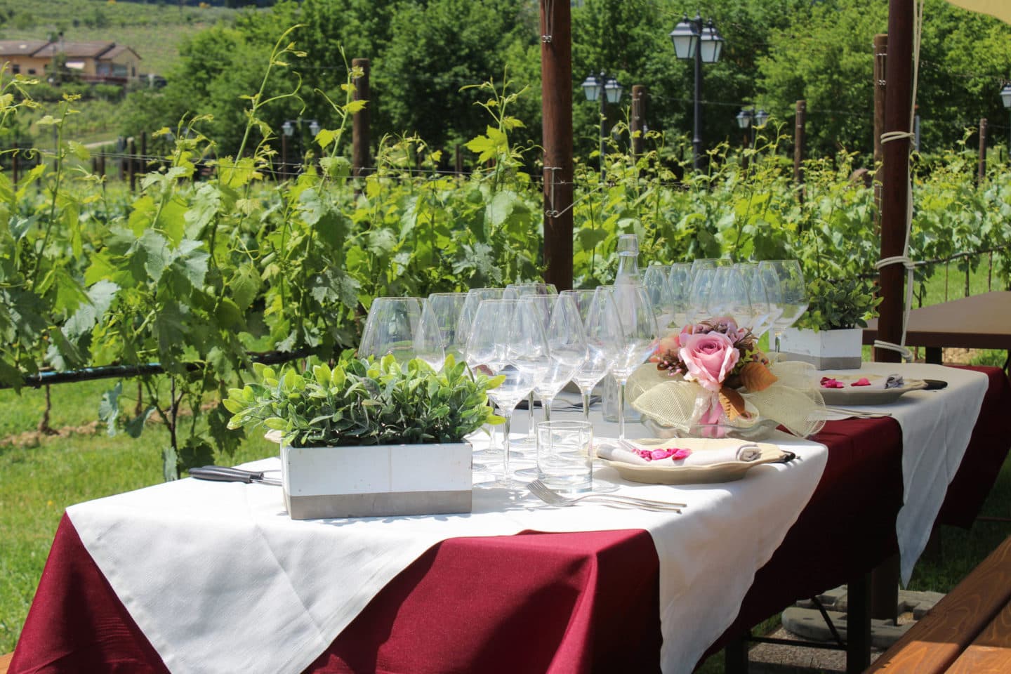 Romantic Lunch Among the Wine Rows