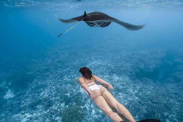 All Inclusive Nusa Penida Snorkeling Tour with Visit West Island