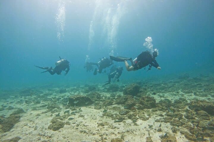 From Abu Dhabi: 2 Dives for Certified Divers in Fujairah
