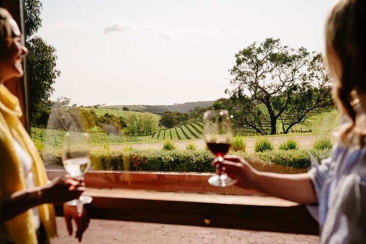 McLaren Vale Premium Wine & Brew Tour with Tastings & Lunch
